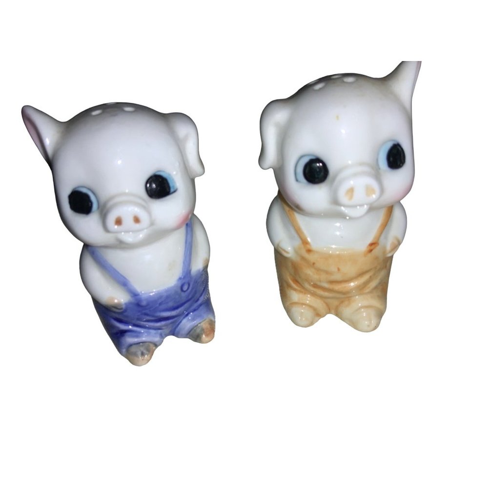 Brinns Pig Salt and Pepper Shaker Set